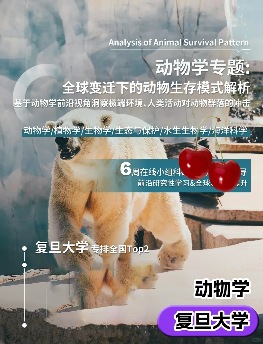 寒假科研?假期不荒废,留学申请大提升