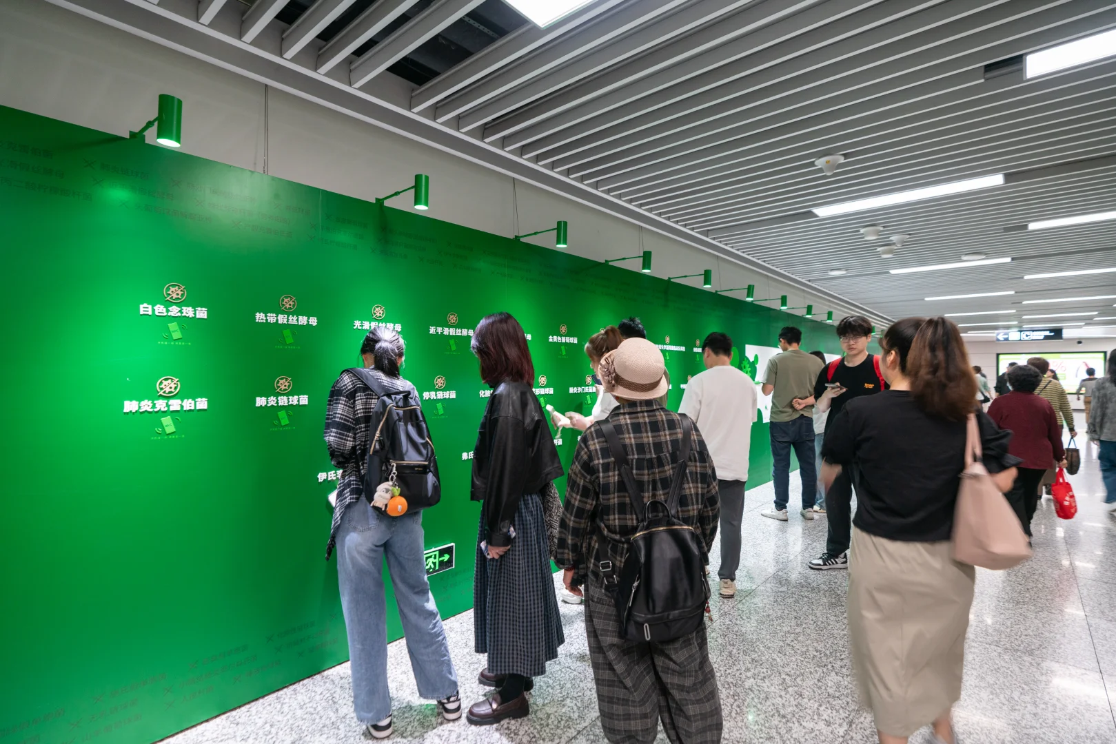 100种细菌惊现地铁站?原来是滴露科普展!