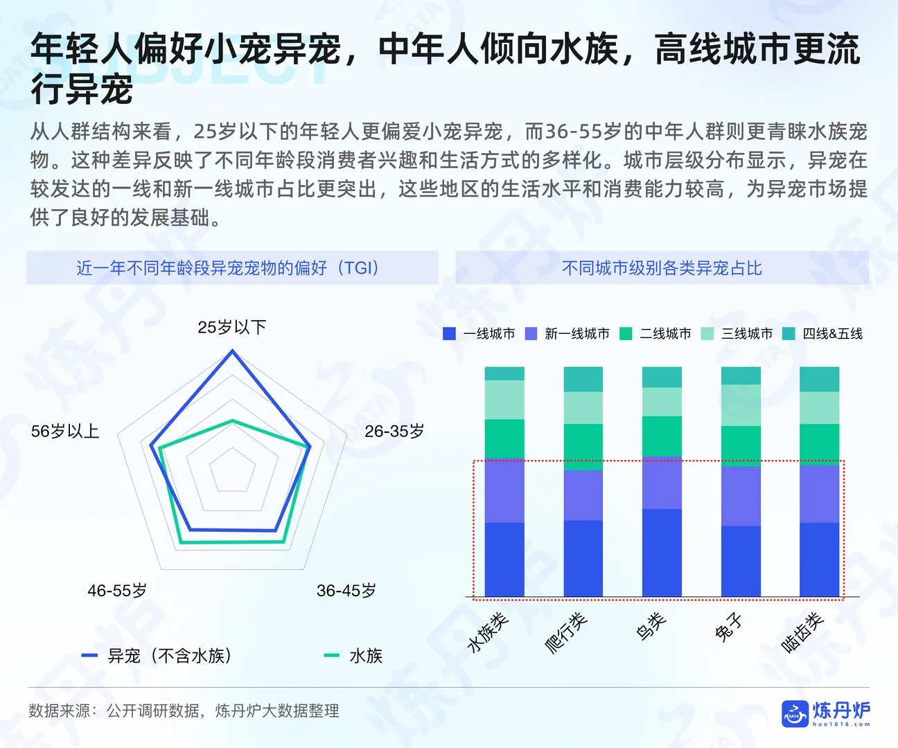 水族行业报告 水族小宠异宠市场消费报告