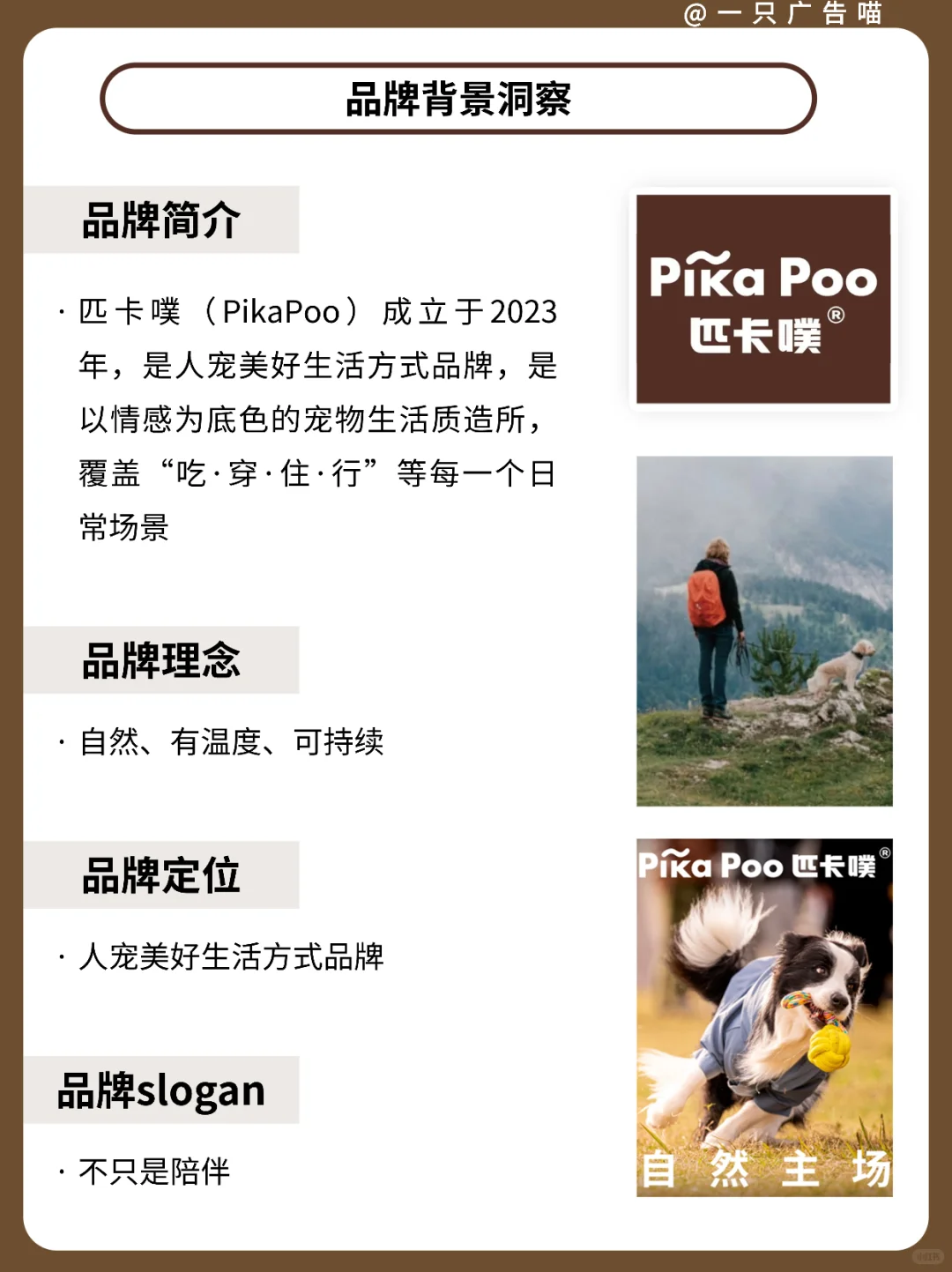 匹卡噗品牌洞察✨用创新思维重构人宠关系