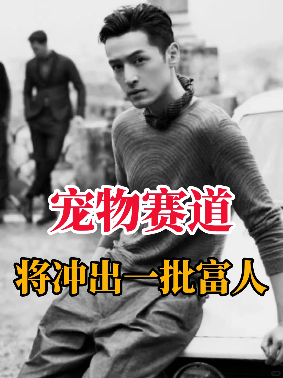宠物赛道,靠这几招搞到?!