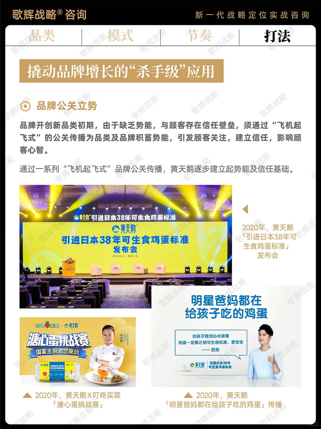 歌辉案例｜黄天鹅如何从0到1成为第一