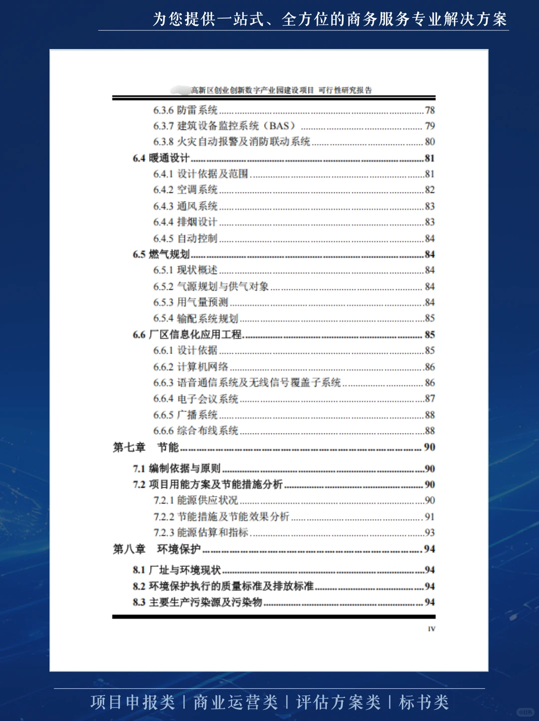 这份可行性研究报告，不仅厚而且专