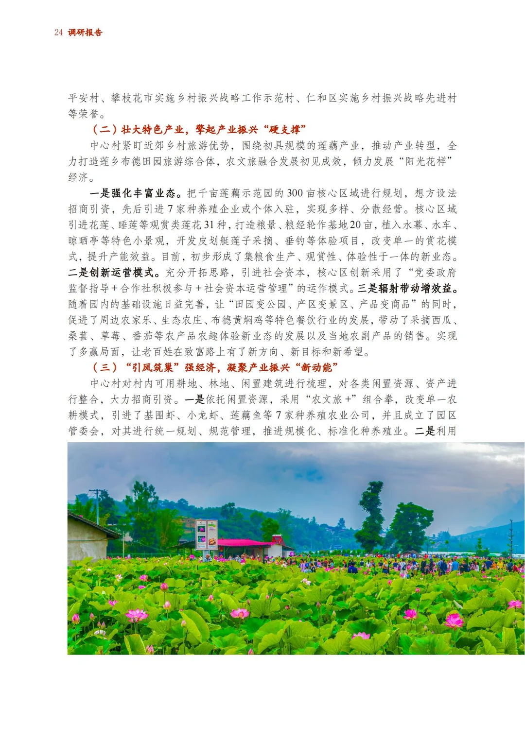 调研报告：做强“农文旅 +”促进共同富裕