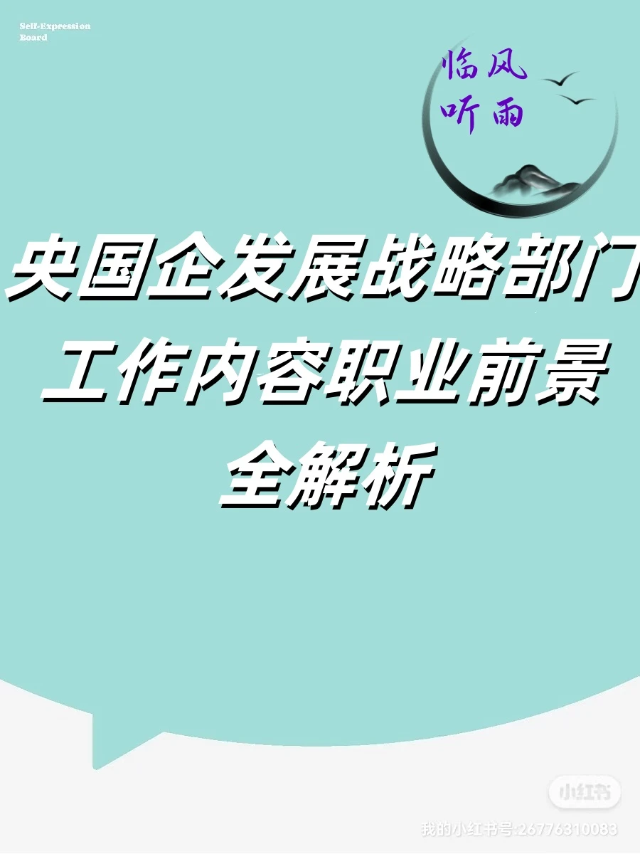央国企发展战略部门工作内容职业前景全解析