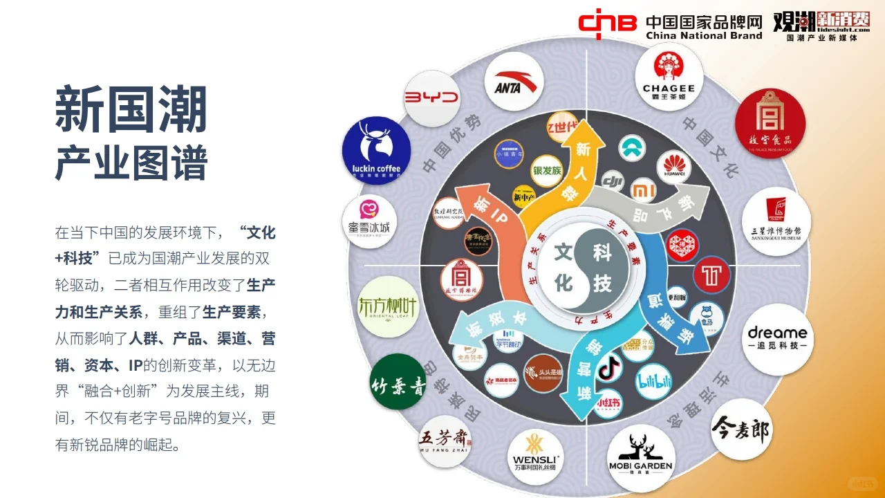 2022国潮品牌发展洞察报告行业报告研究