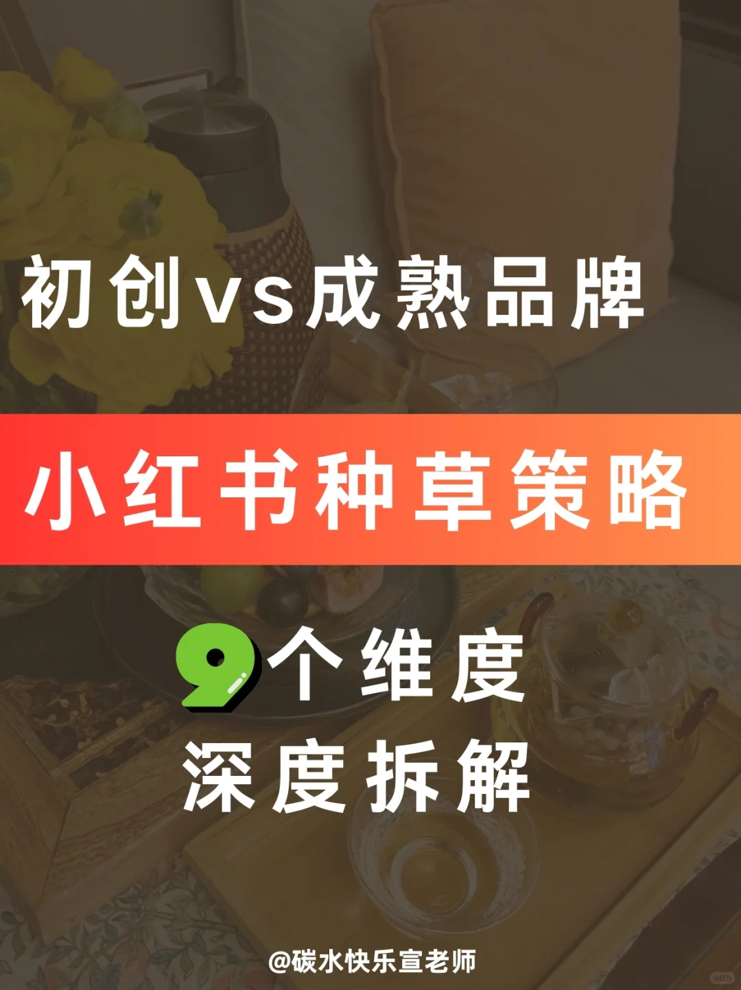 干货分享|初创vs成熟品牌小红书种草策略