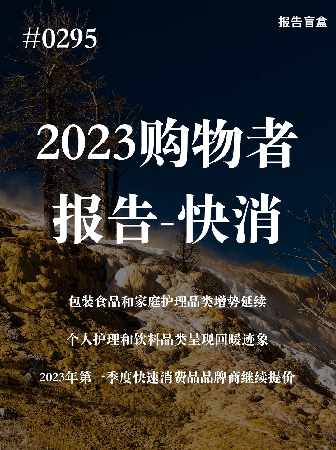 #0295|2023中国购物者报告