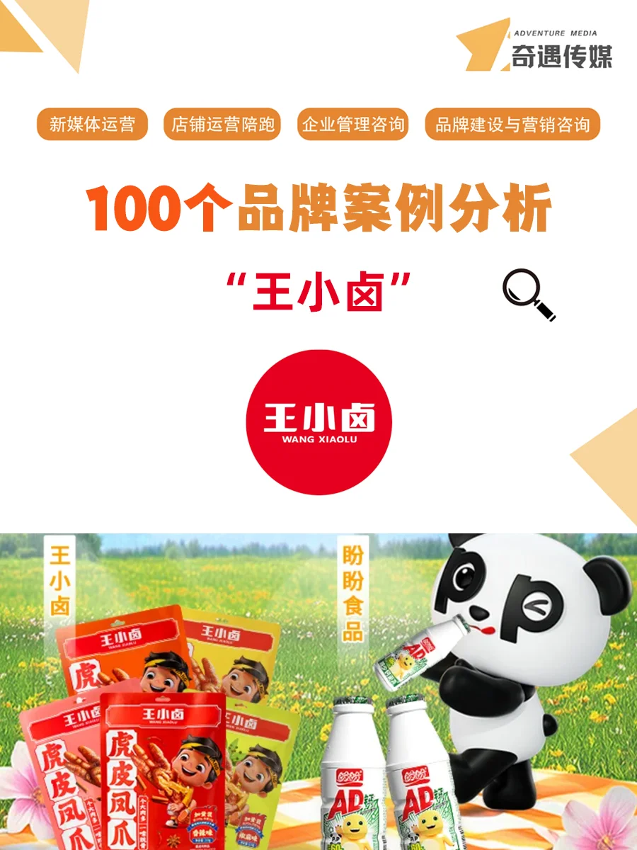 100个品牌案例分析—— 王小卤