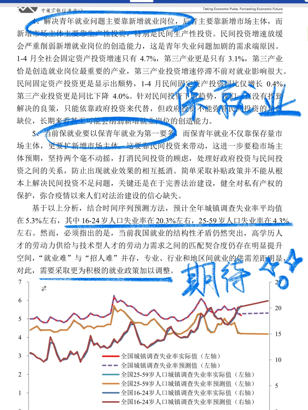 人大110页深度宏观经济分析,了解下半年形势
