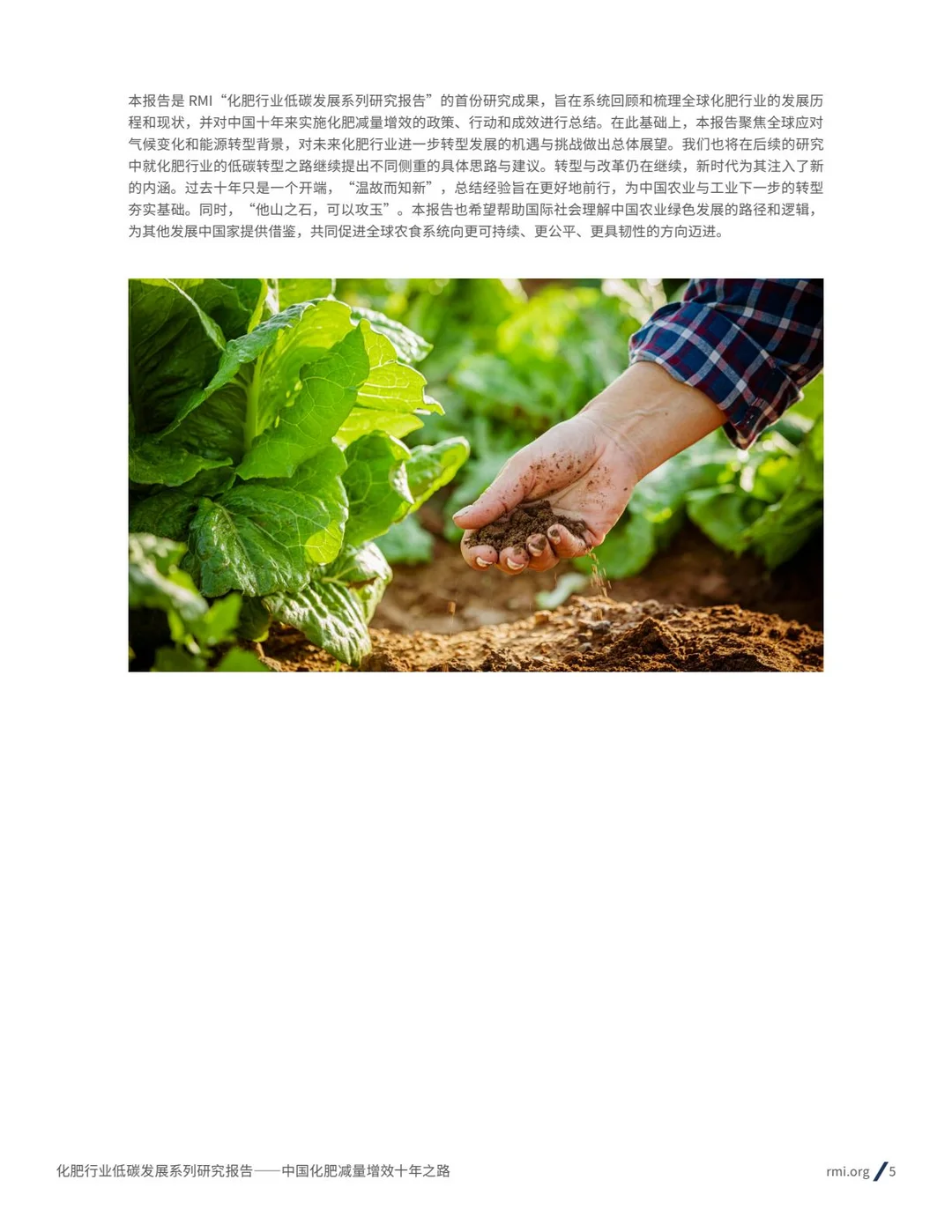2025化肥行业低碳发展报告减量增效十年之路
