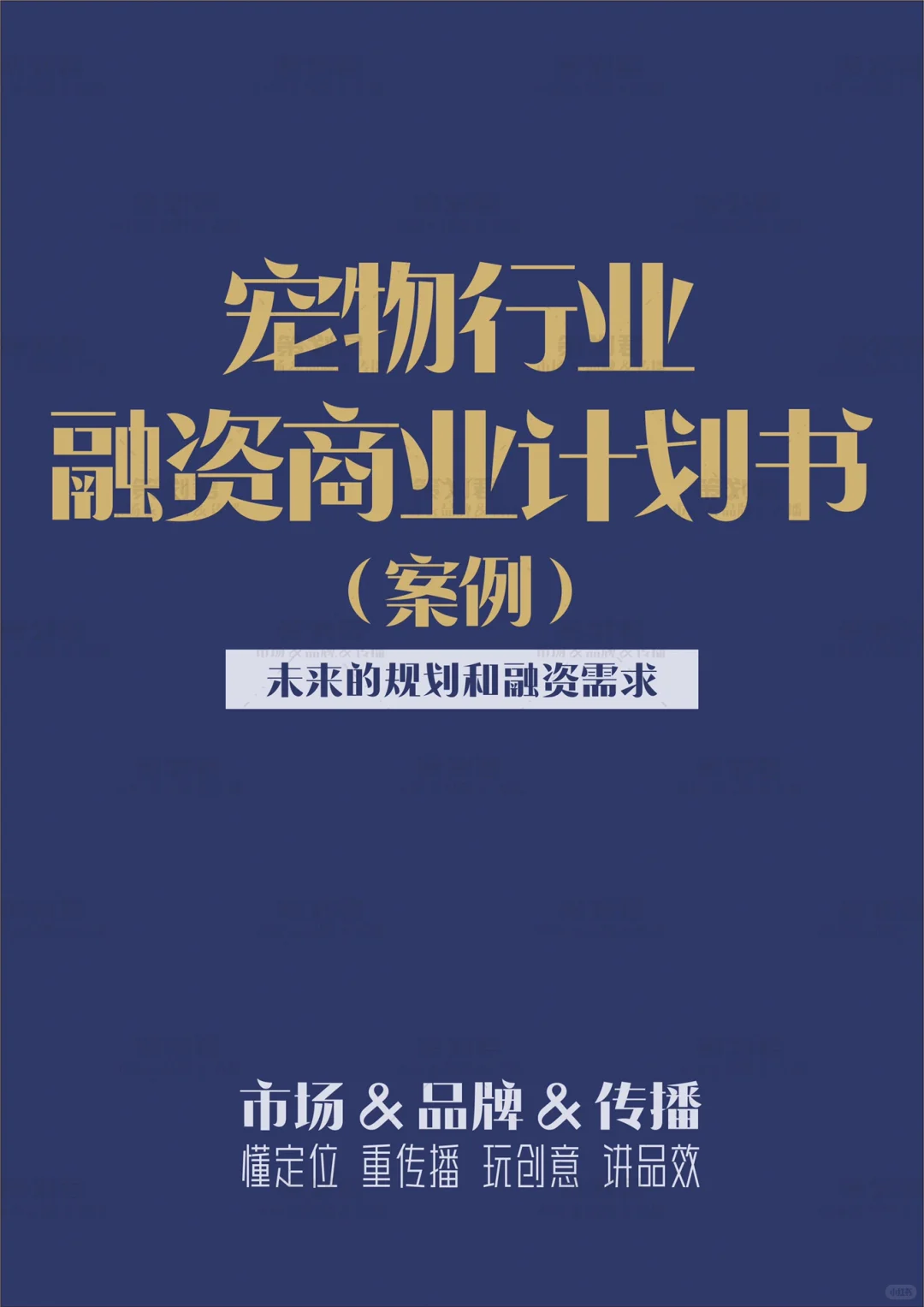 宠物行业融资商业计划书（案例）?