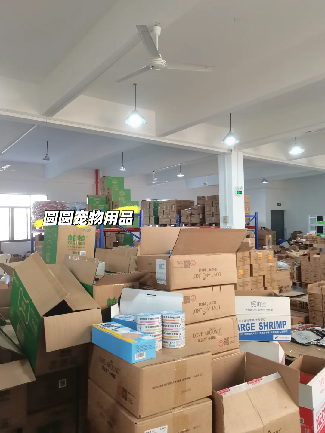 风口赛道宠物用品！