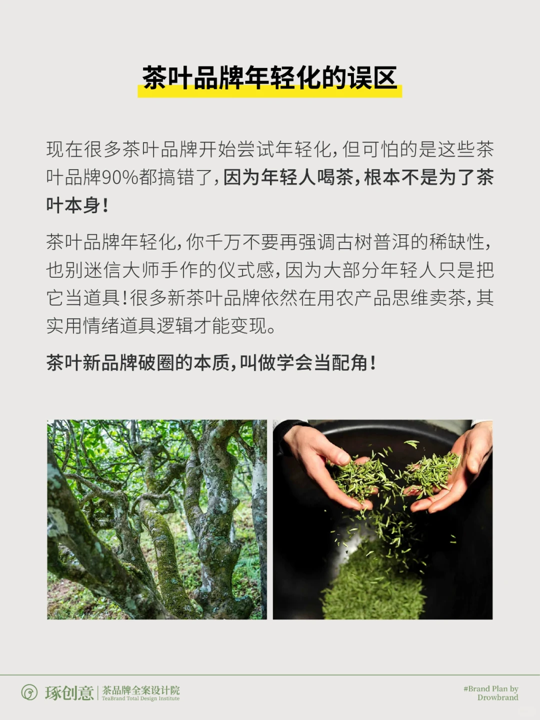 年轻人喝茶，不是为了茶！