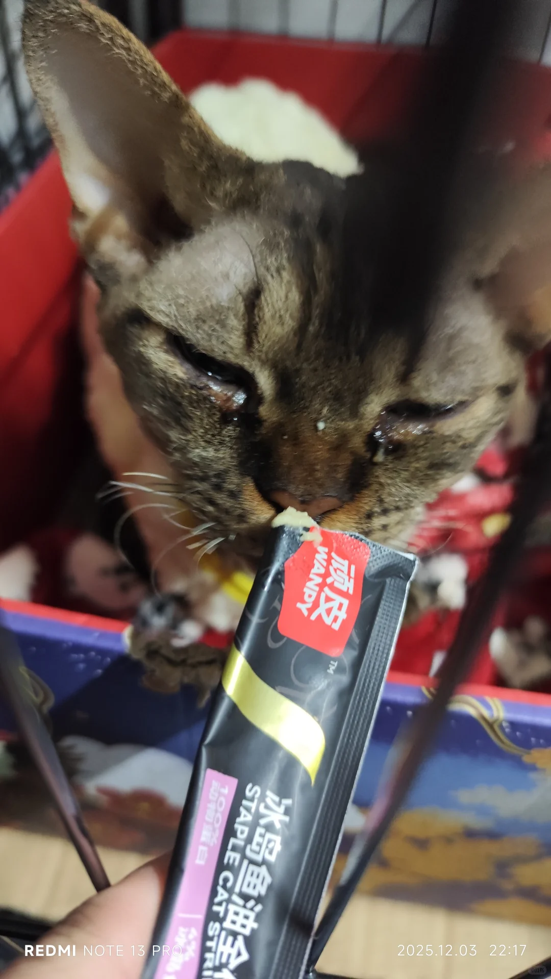 被软虐待的德文