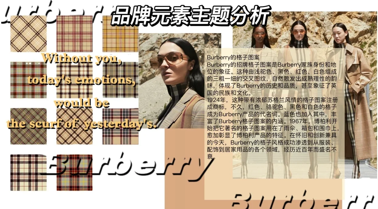服装品牌调研案例分析1