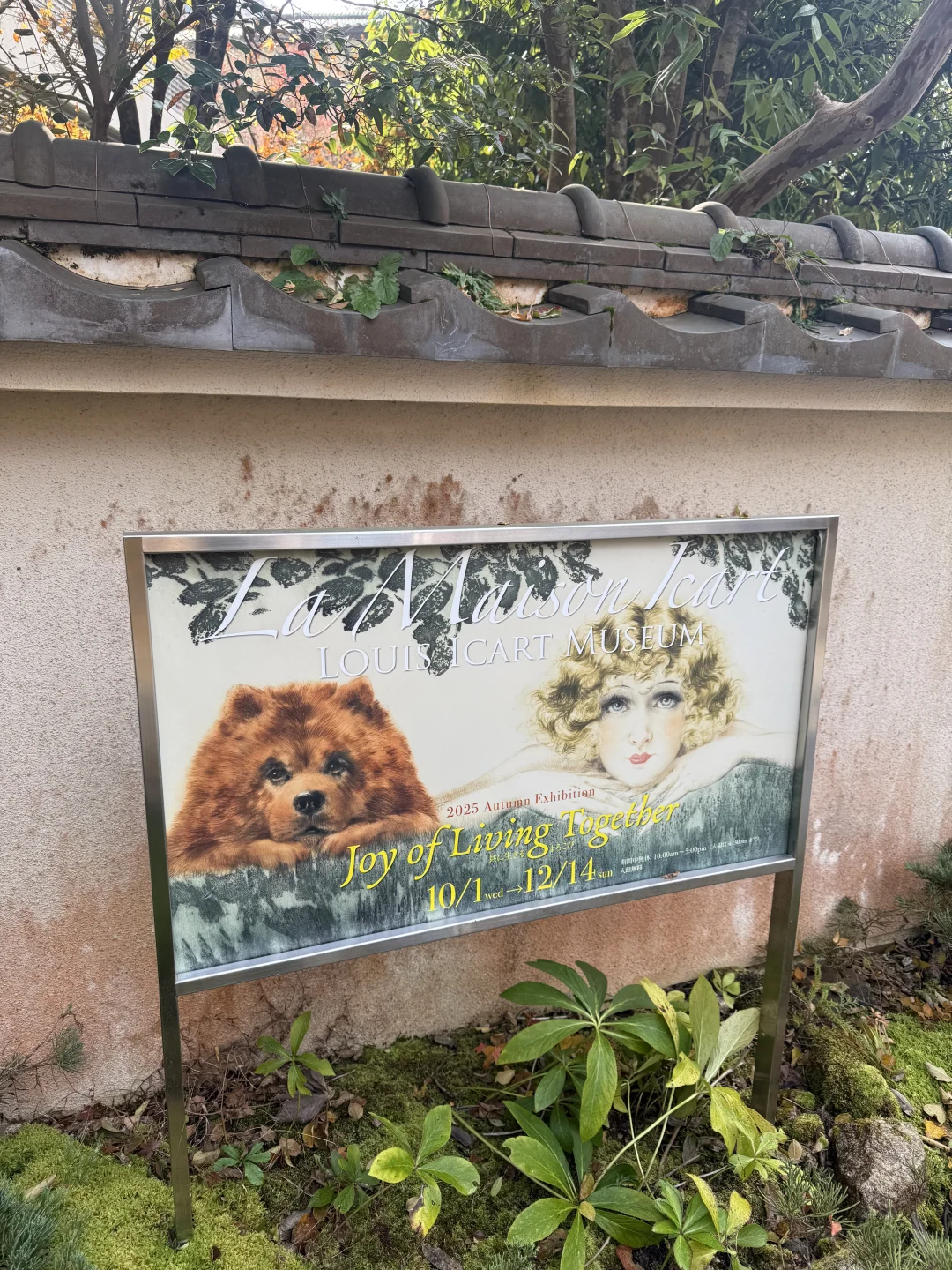 37岁无限期合同员工被裁后,离职谈判复盘