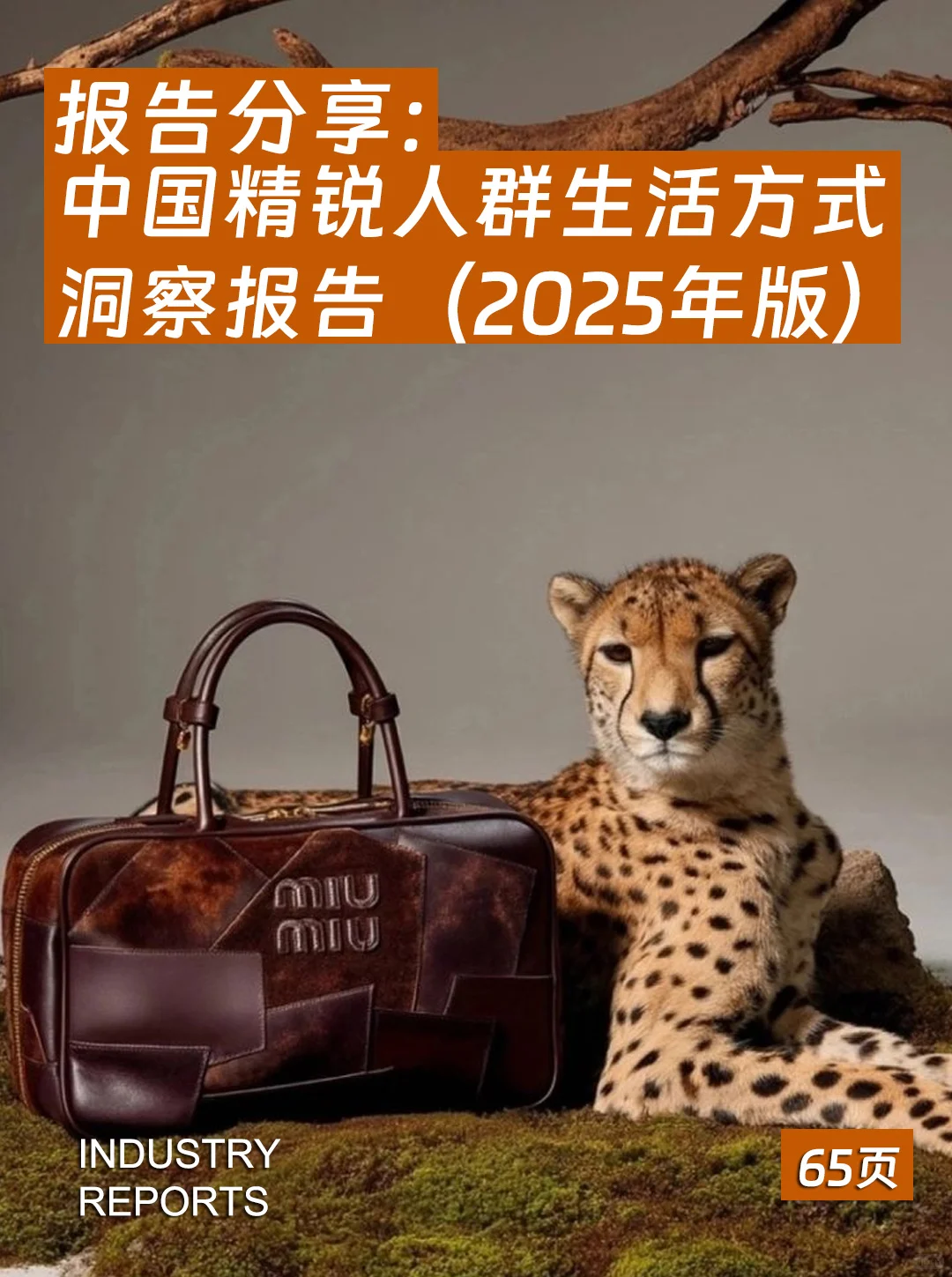 中国精锐人群生活方式洞察报告|65页
