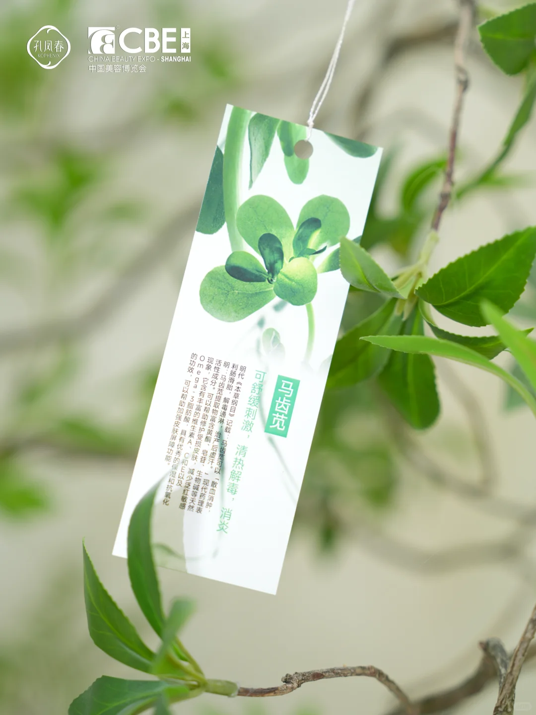 ?走进肌肤之春 孔凤春自然护肤空间站