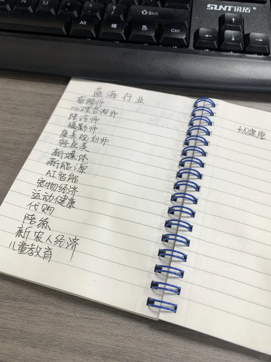 下班倒计时 写了写自我感觉的蓝海行业发展