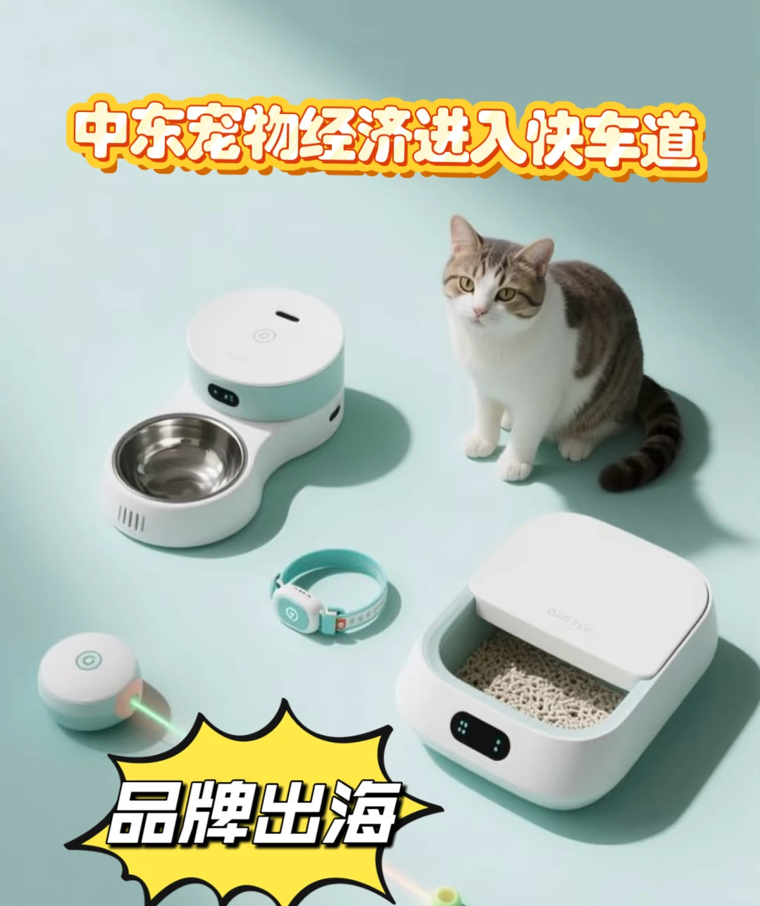 中东宠物经济爆发!中国智能宠物用品赢