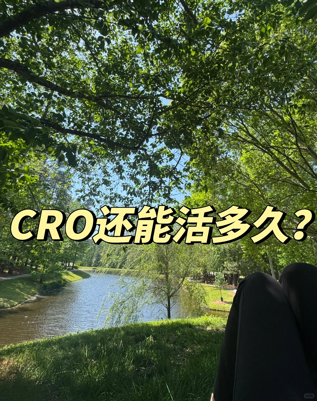 真的快卷不动了?