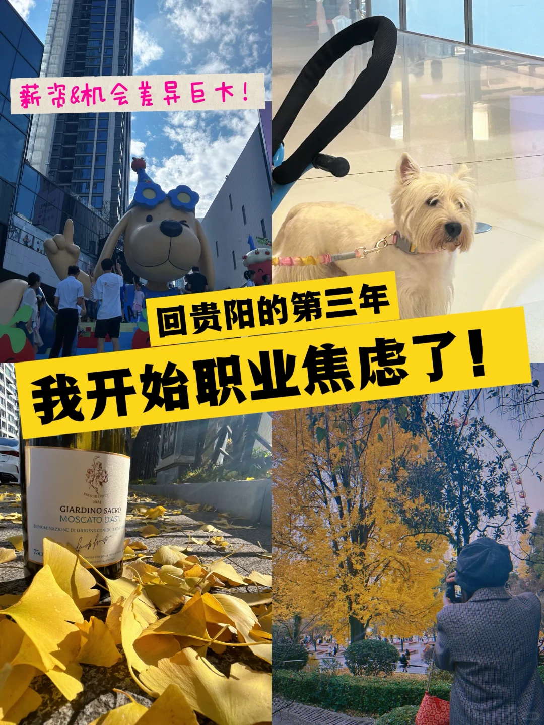 回贵阳终究还是错了吗?