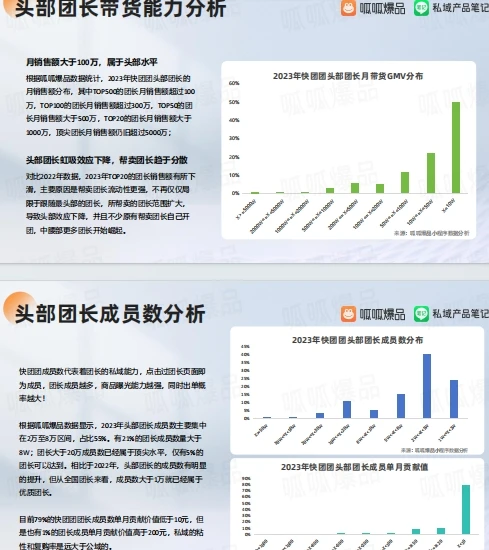 2023年度私域电商快团团行业洞察报告