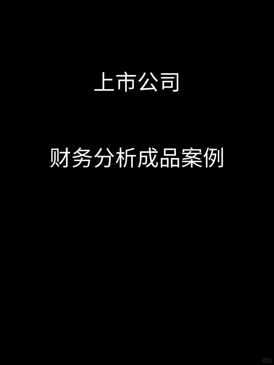 上市公司财务分析成品案例