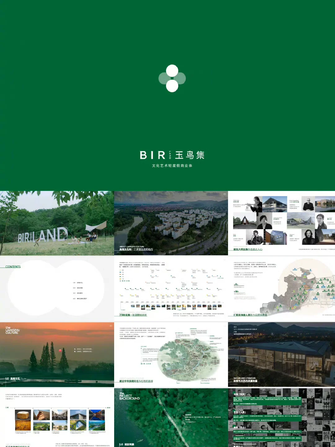 文旅项目商业资源库，文旅项目品牌手册20+