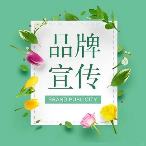 品牌营销策略：增加销售额和市场份额