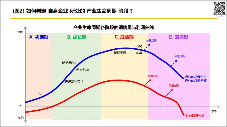 产业处于成熟期阶段的战略选择