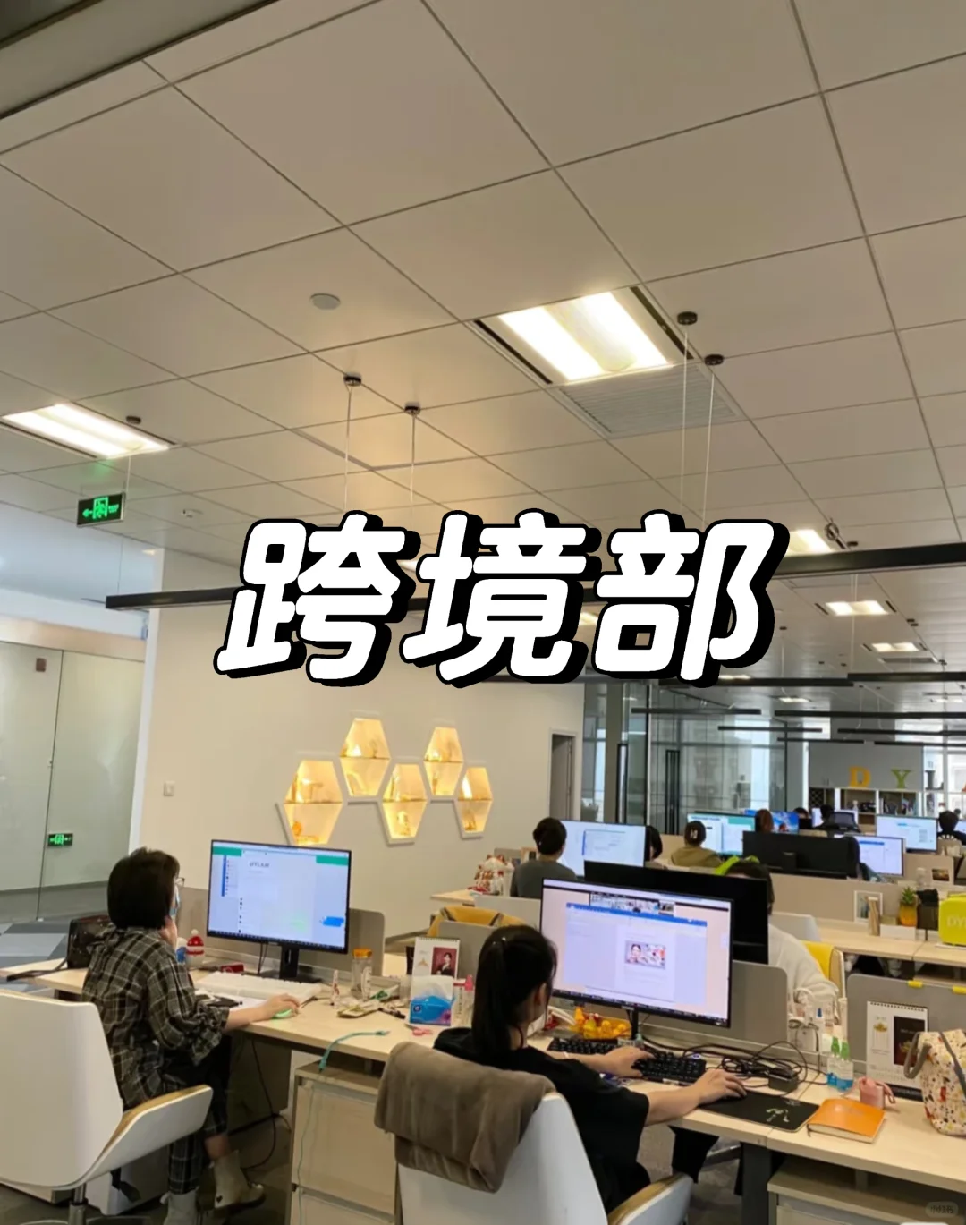 我们公司新来的跨境女生,效率真的是天花板