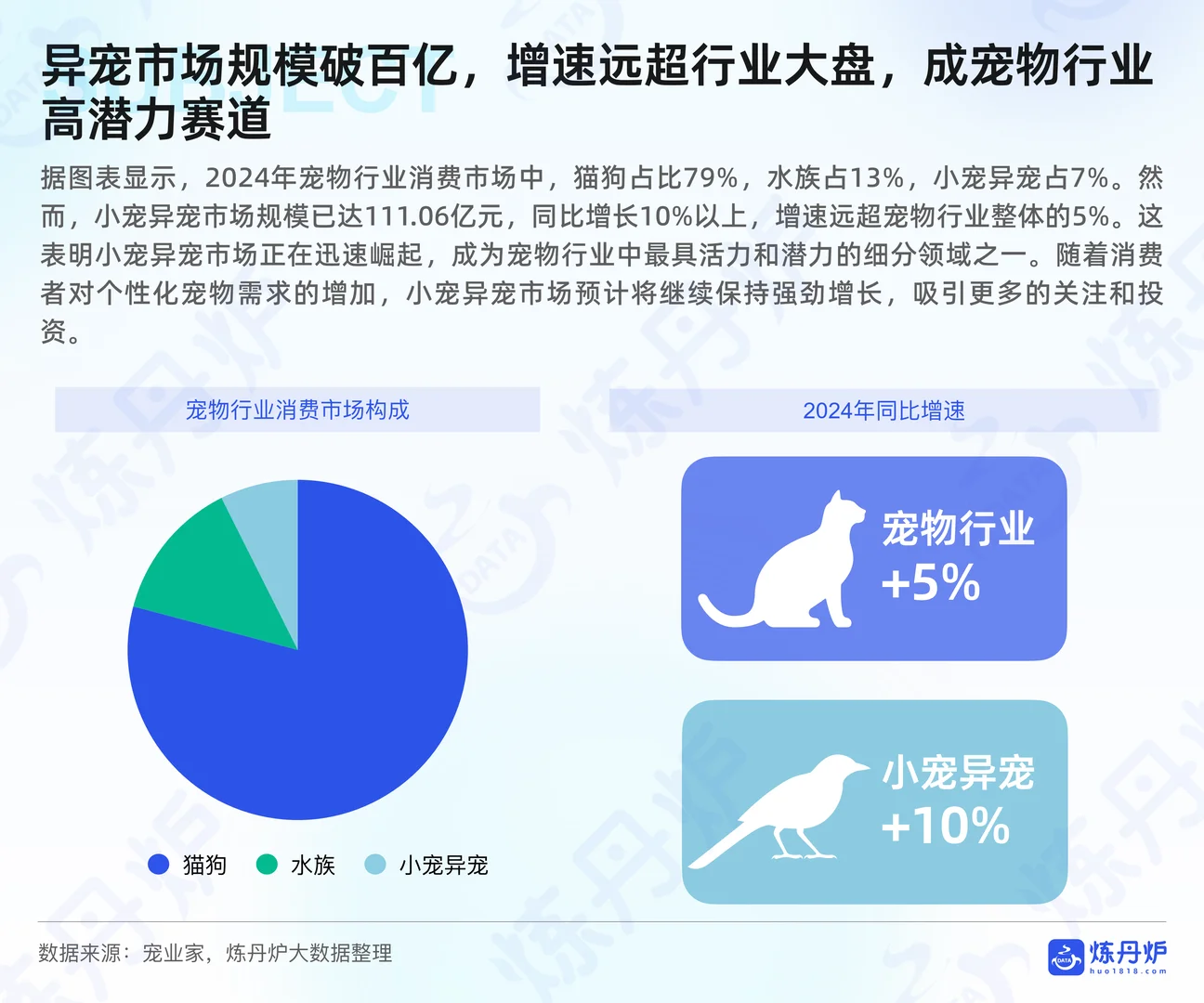 水族行业报告 水族小宠异宠市场消费报告