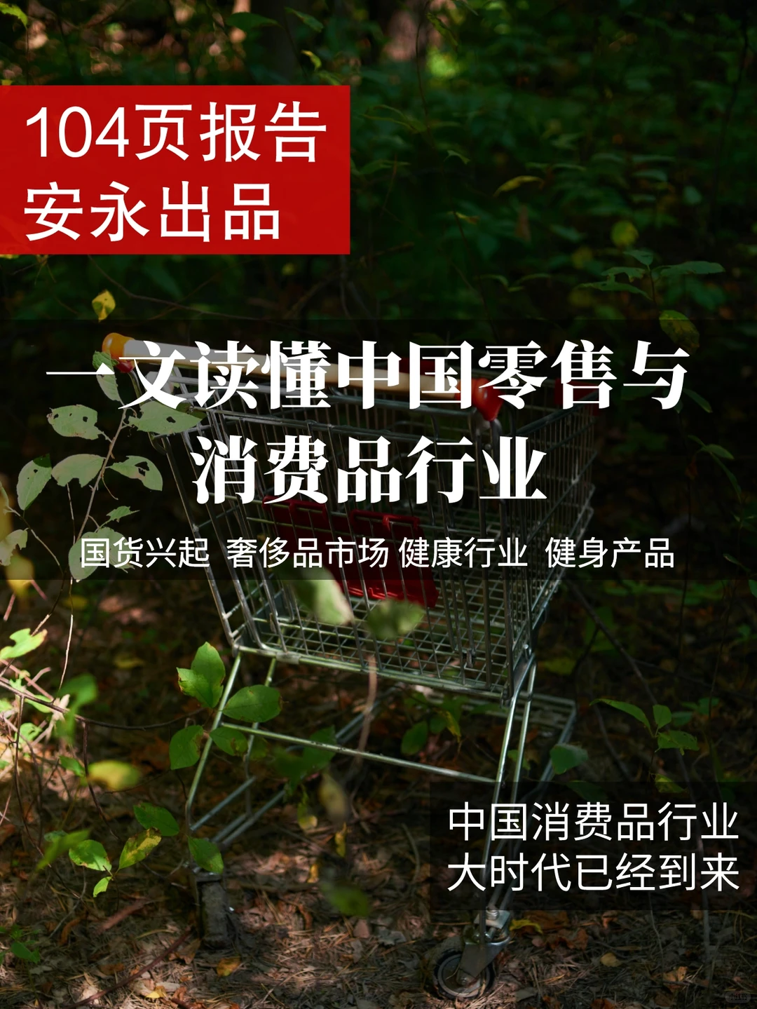 104页报告|一文读懂中国零售消费品行业