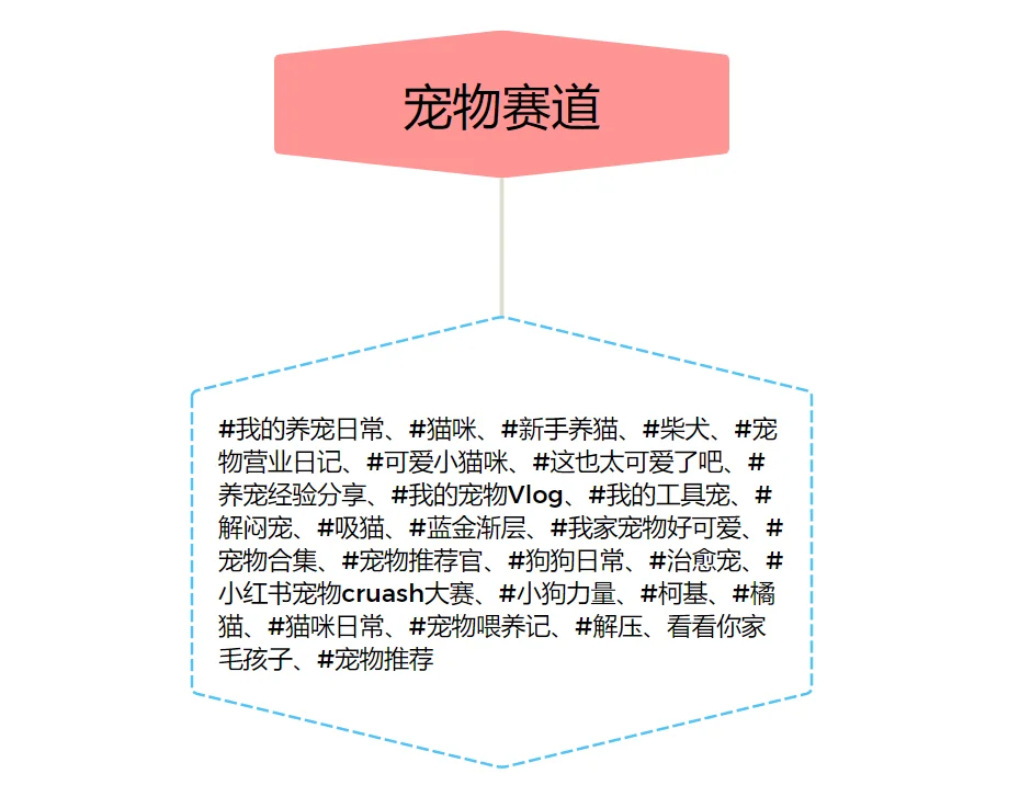 ?各个赛道高热度话题