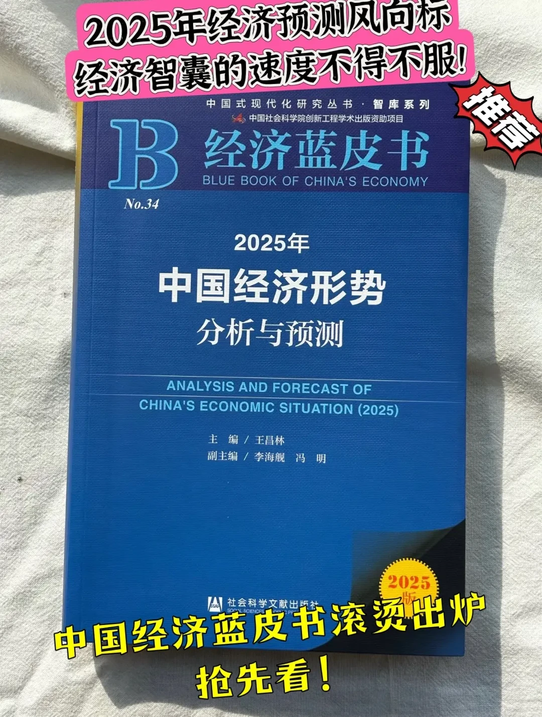 吃透这本蓝皮书，2025搞钱不迷路！！！
