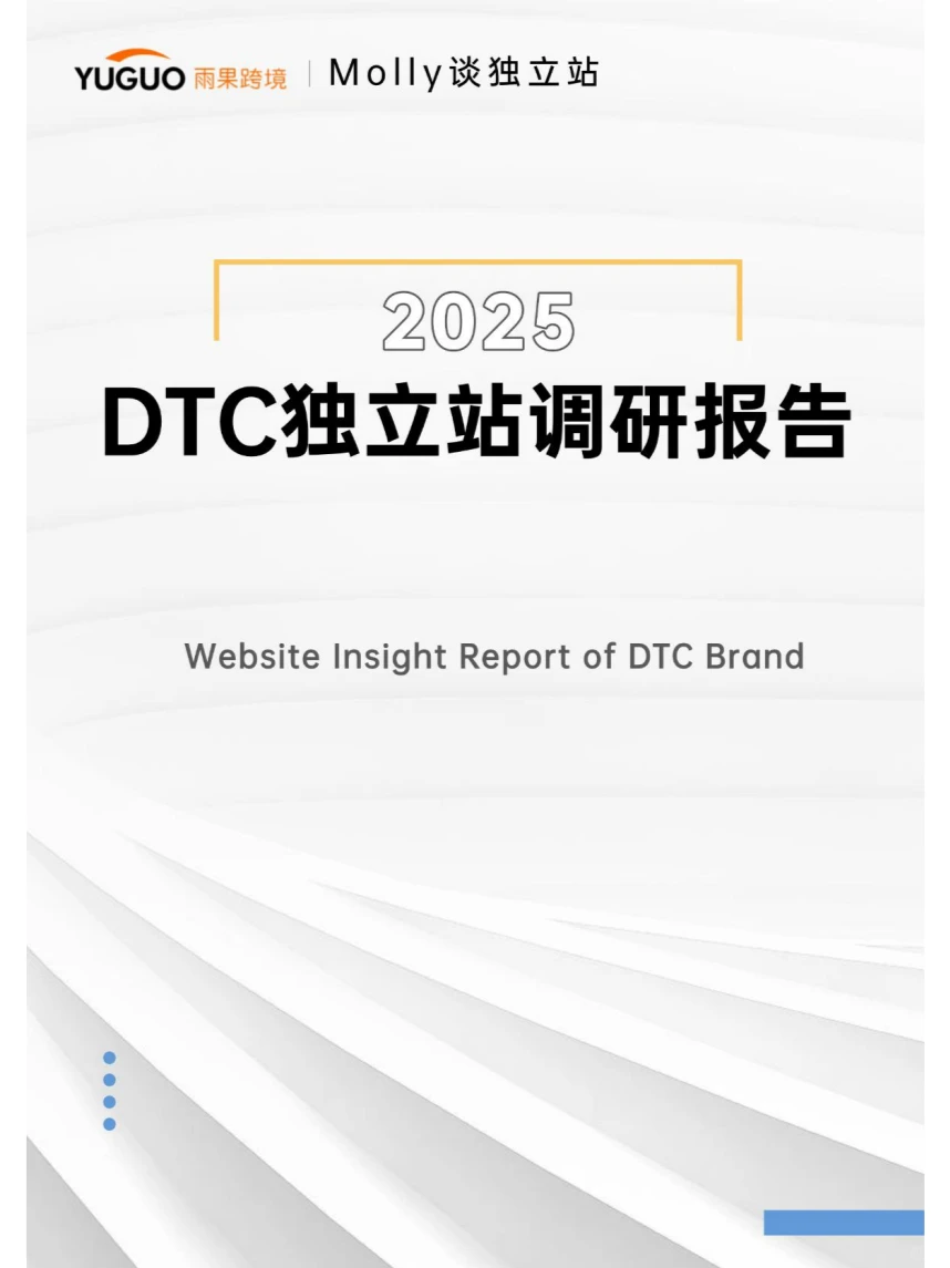 ?2024跨境电商年度报告:独立站