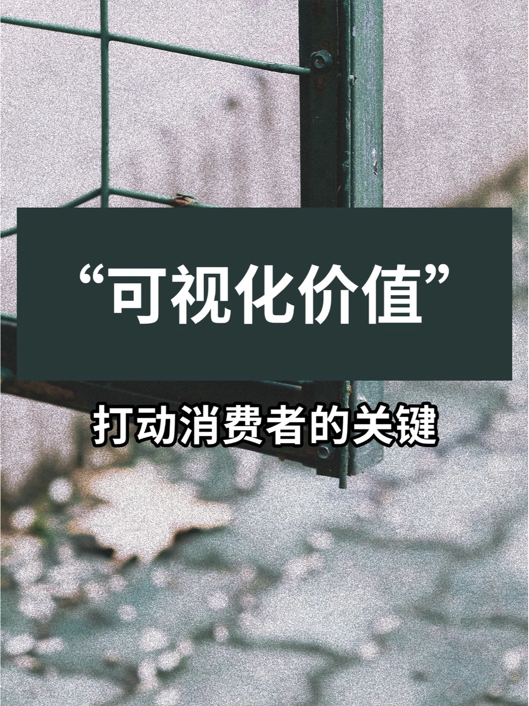 打动消费者的关键是“可视化价值”