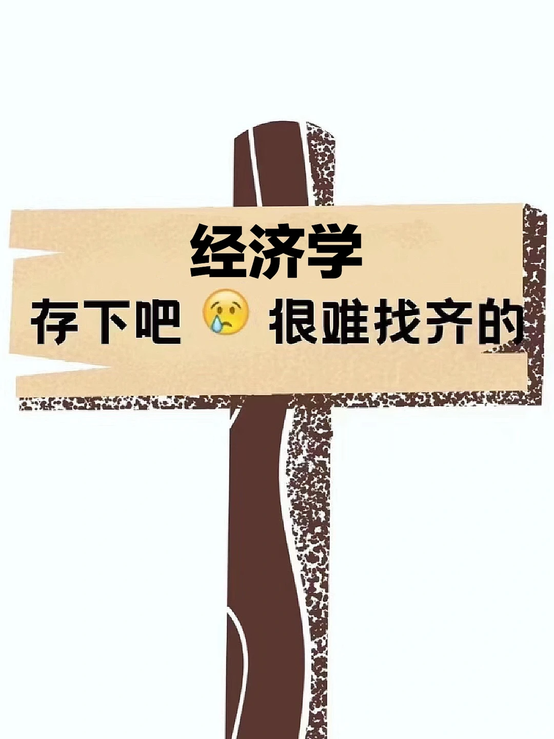 请大数据把这些论文选题推给经济学专业的宝
