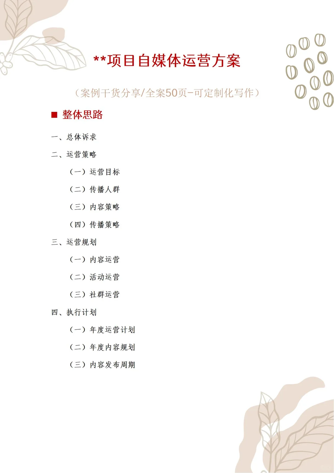 做项目自媒体运营方案啦！
