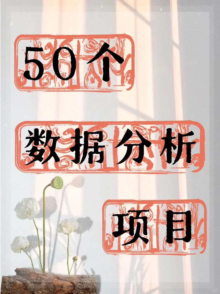 50个数据分析项目，让你成为数据小能手！