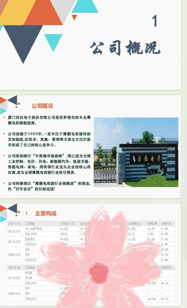 投资学课程作业：股票公司分析（法拉电子）