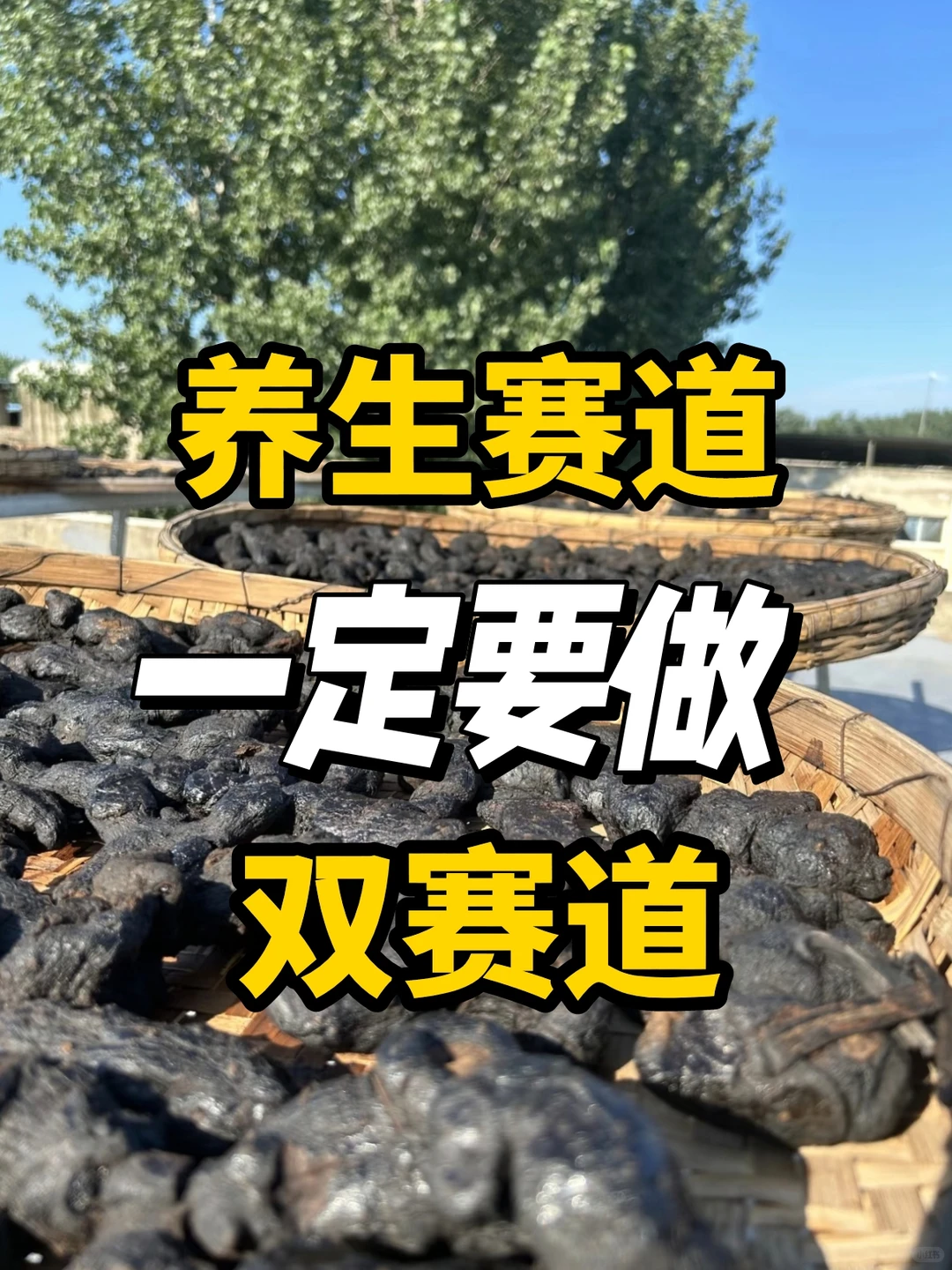 2025养生赛道一定要做双赛道‼️