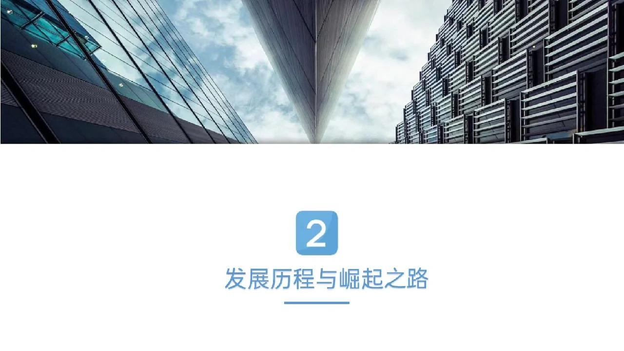 20期：拼多多电子商务营销案例分析