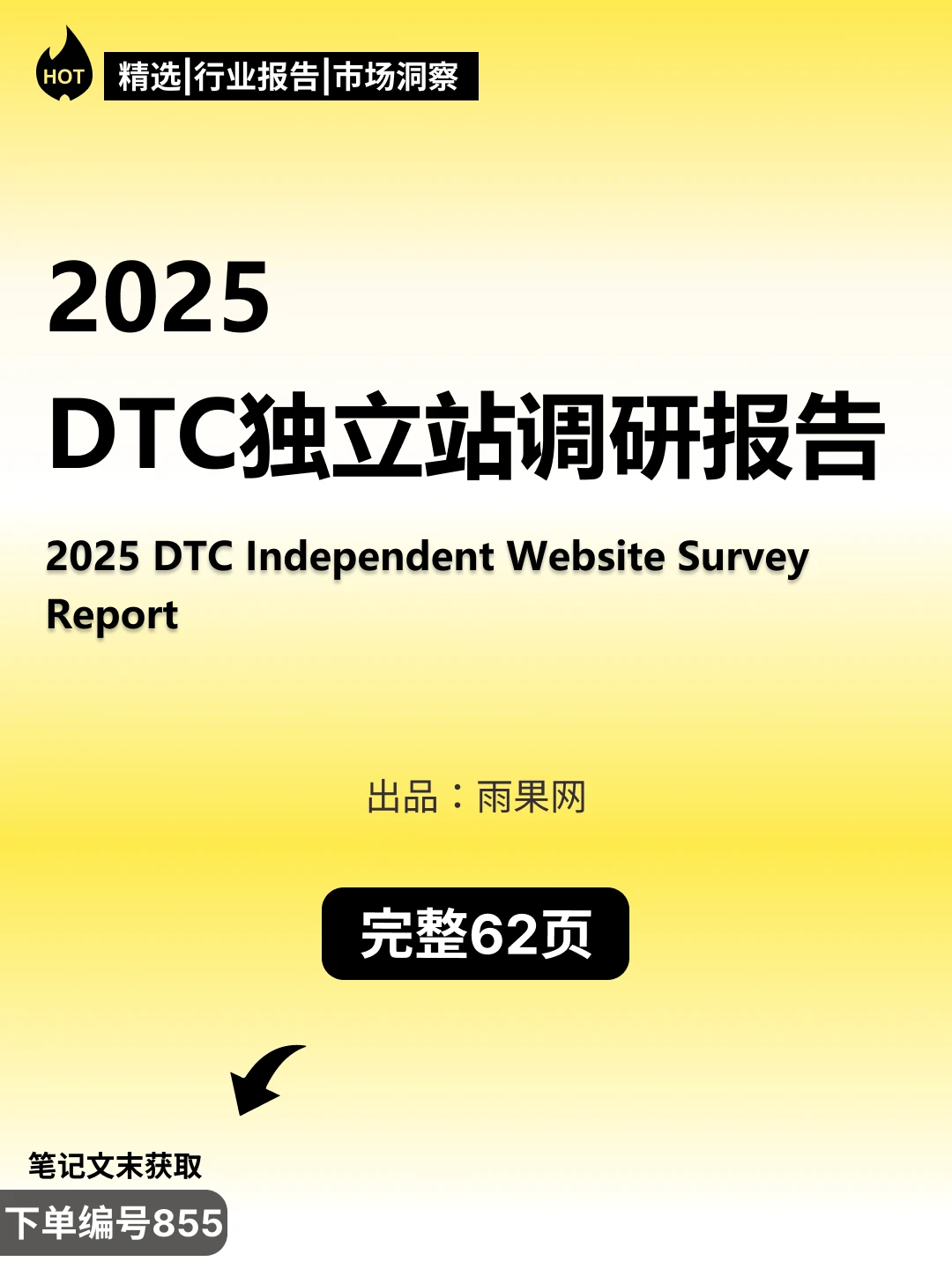 ?2024跨境电商年度报告:独立站