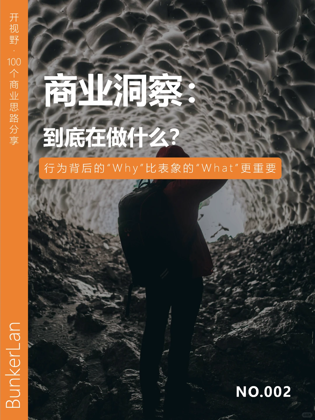 商业洞察: 到底在做什么?
