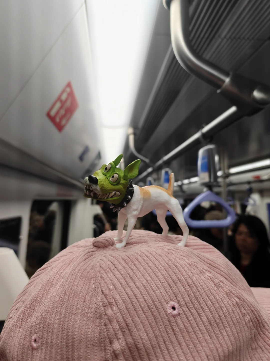 随机5