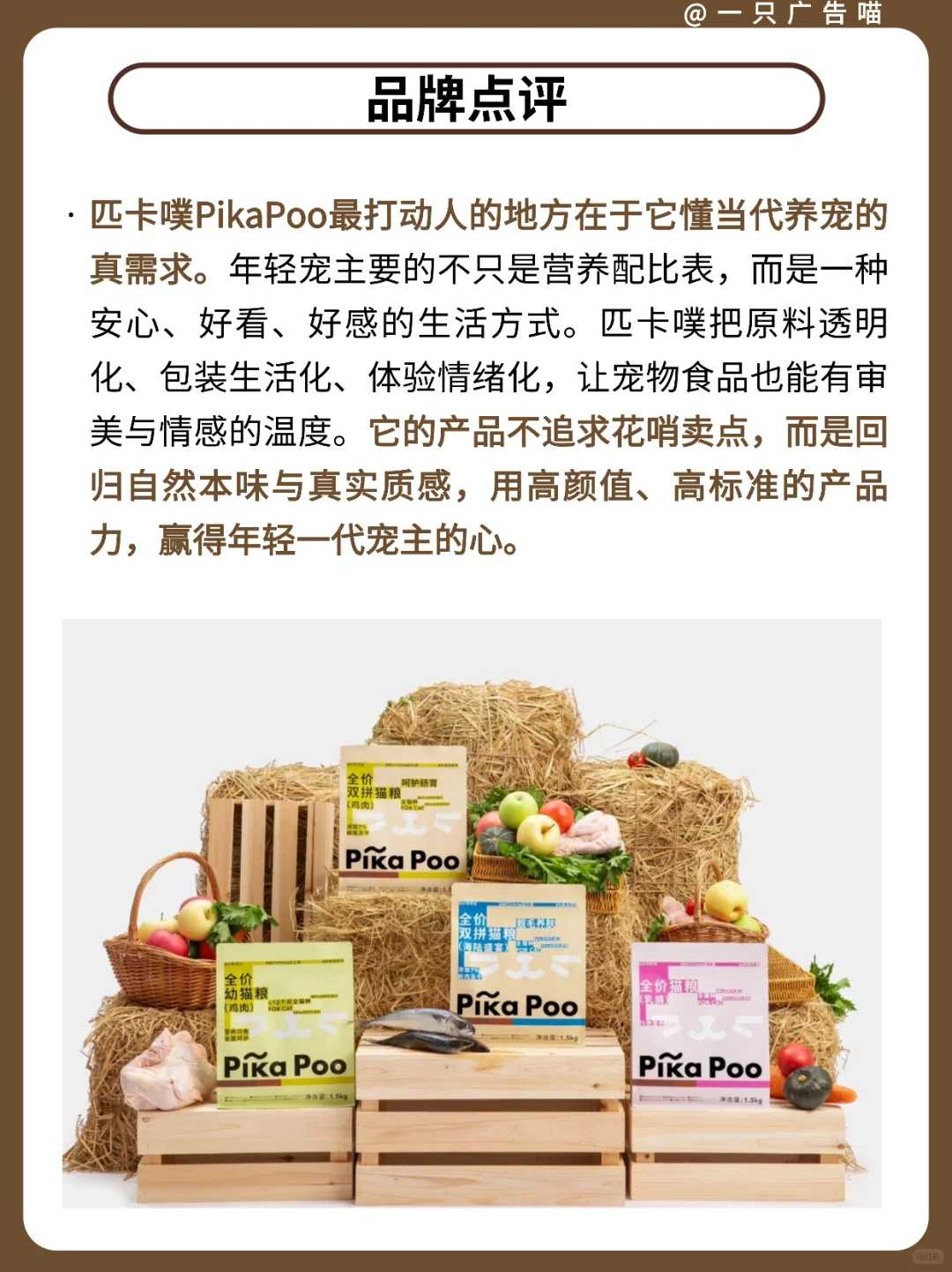 匹卡噗品牌洞察✨用创新思维重构人宠关系