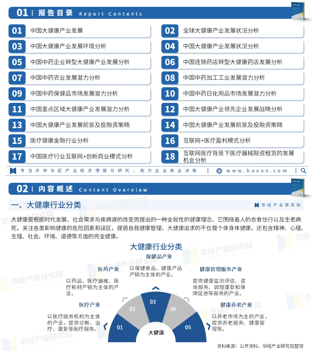 2025年中国大健康行业市场投资战略咨询报告